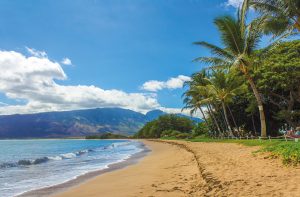 Hawaii Beach